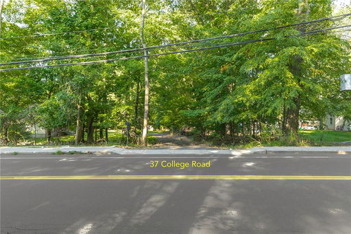 Media Image 3