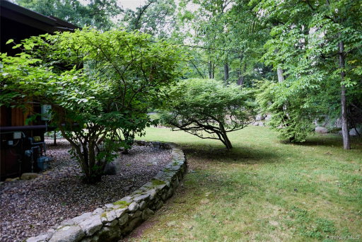 Media Image 3