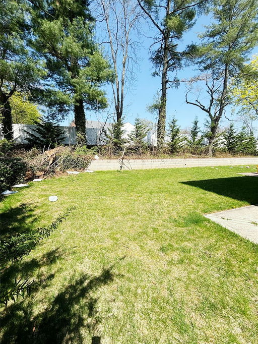 Media Image 3