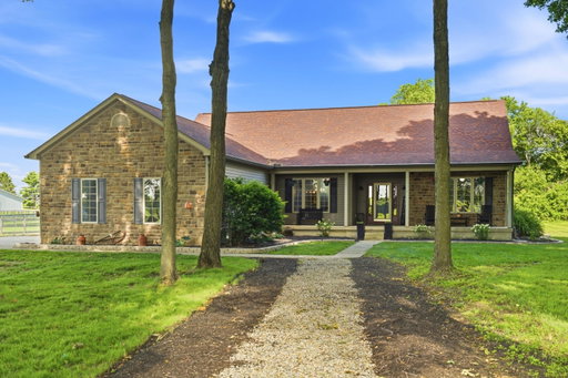 Media Image 2