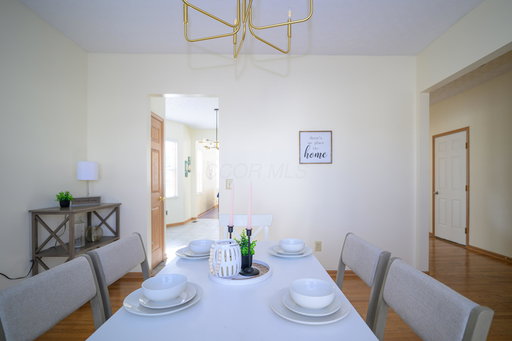 Media Image 3
