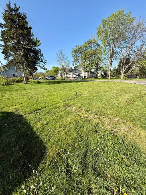 Media Image 3