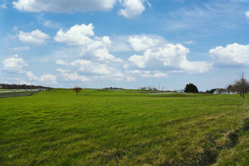 Media Image 3