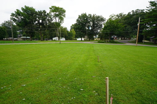 Media Image 2