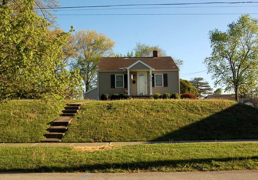 Media Image 2
