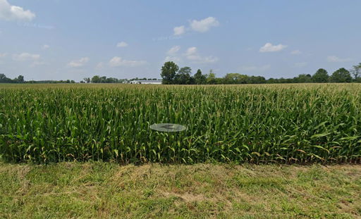 Media Image 3