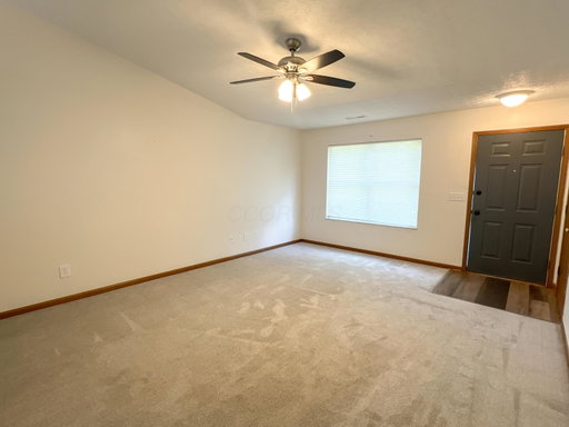 Media Image 3