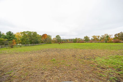Media Image 3