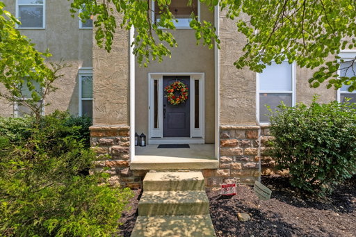 Media Image 3