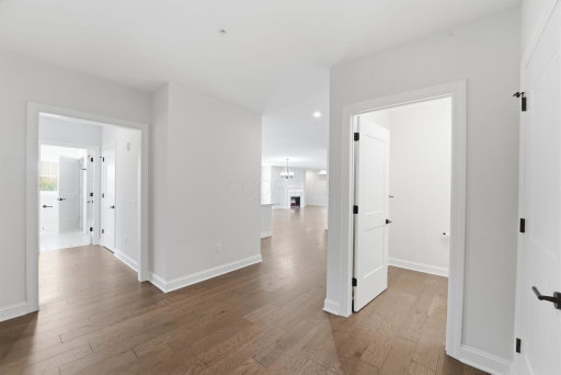 Media Image 3