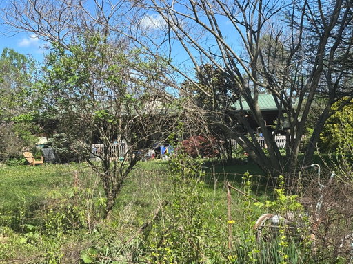 Media Image 2