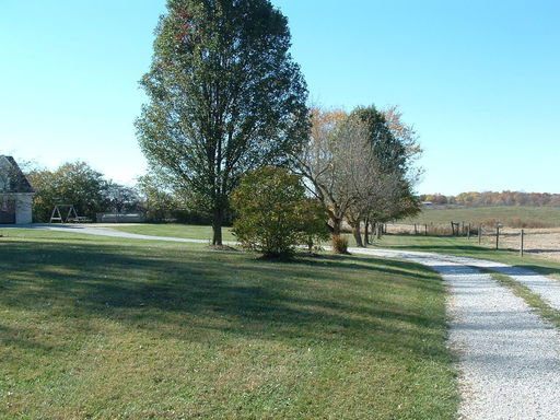 Media Image 3
