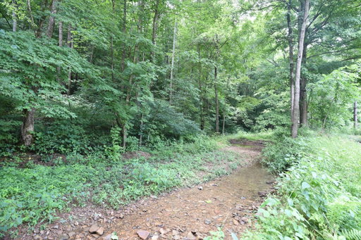 Media Image 2