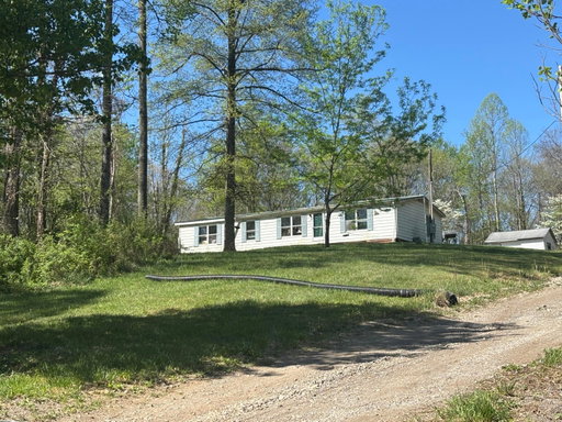 Media Image 3