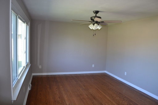 Media Image 3