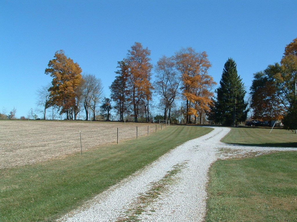 Media Image 1