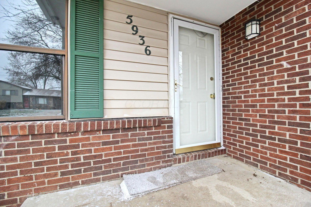 Media Image 1