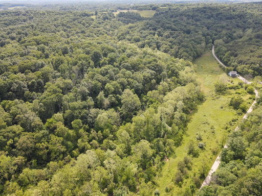 Media Image 2