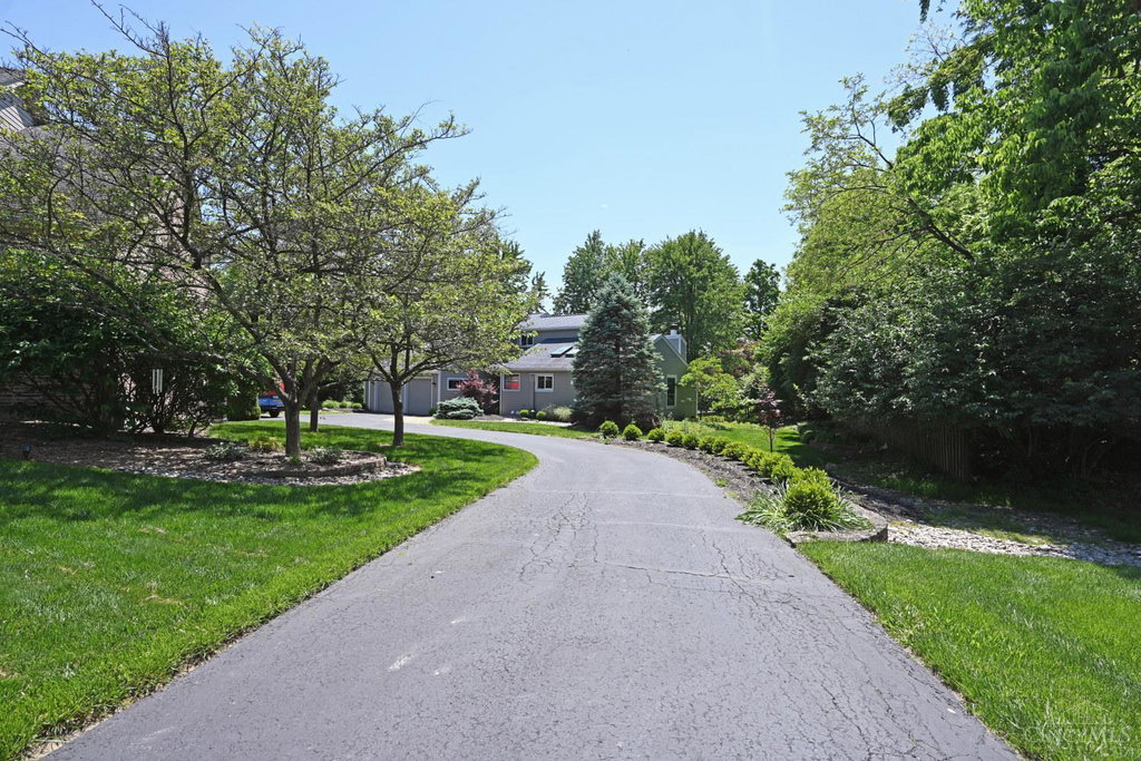 Media Image 1