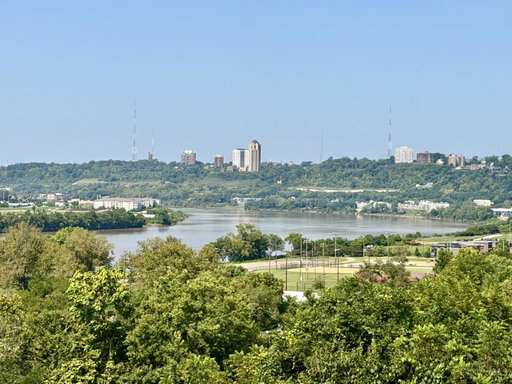 Media Image 3