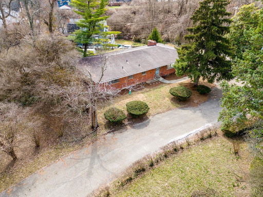 Media Image 3