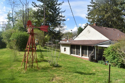 Media Image 3