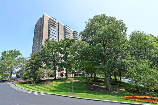 Media Image 2