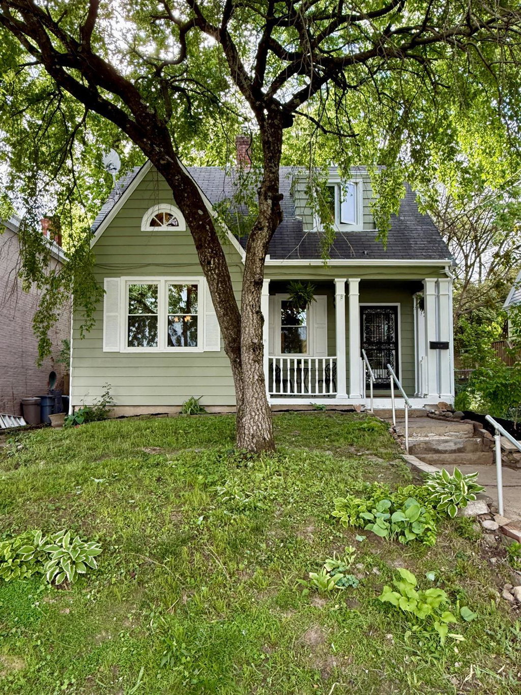 Media Image 1