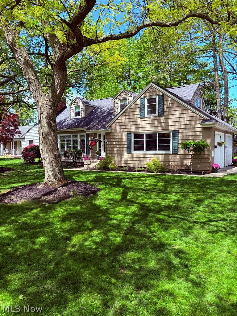 Media Image 1