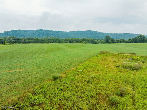 Media Image 2