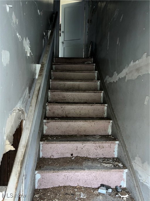Media Image 2