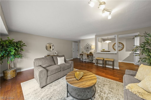 Media Image 3