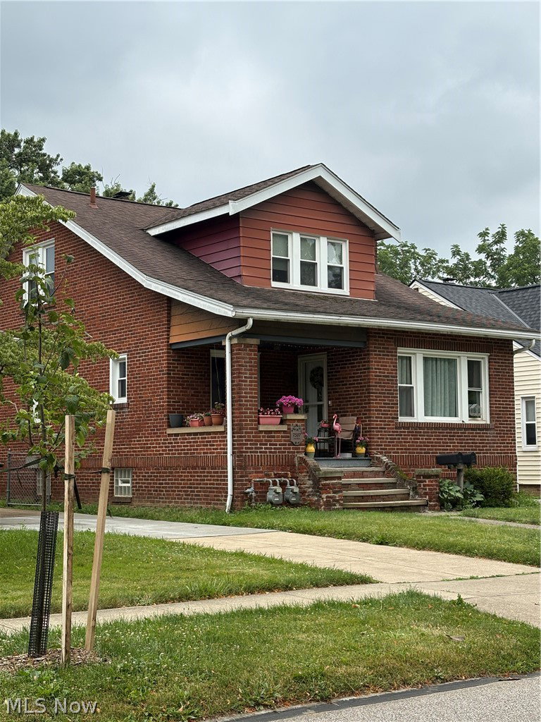 Media Image 1
