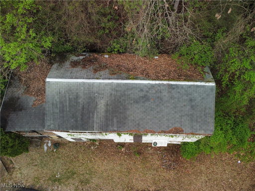 Media Image 2