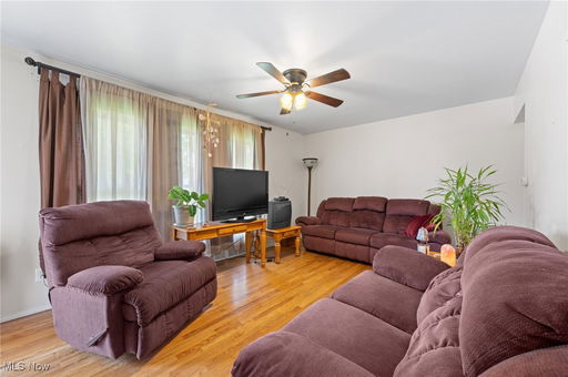 Media Image 3