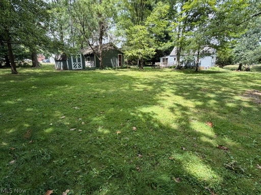 Media Image 3