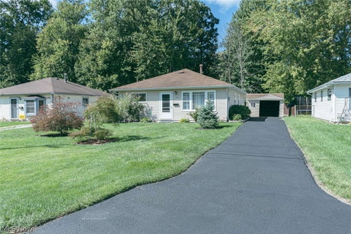 Media Image 3