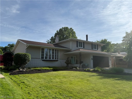 Media Image 3