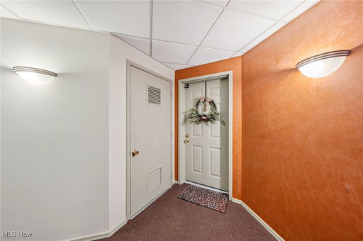 Media Image 3