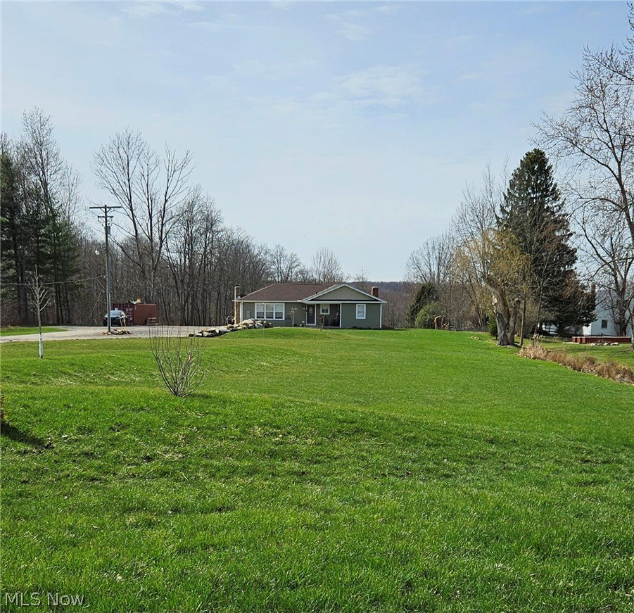 Media Image 1
