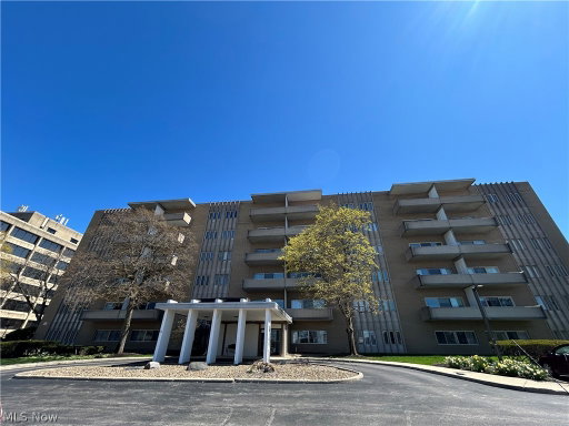 Media Image 3