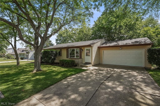 Media Image 3