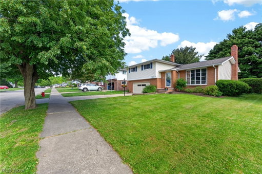 Media Image 3