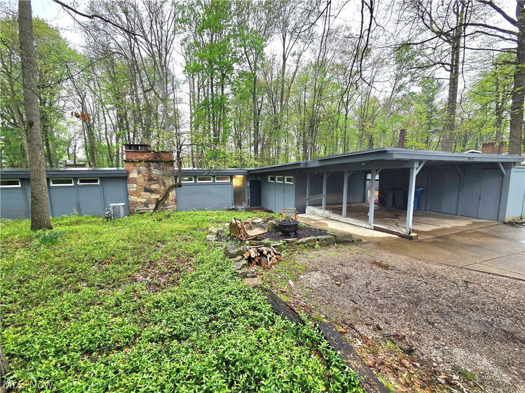Media Image 1
