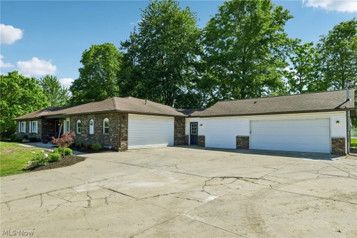 Media Image 3