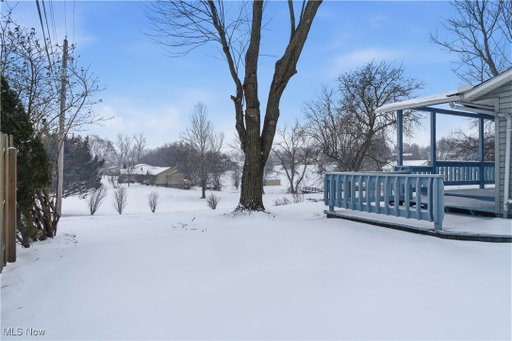 Media Image 3