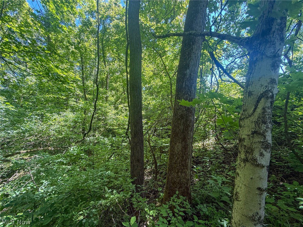 Image Unavailable