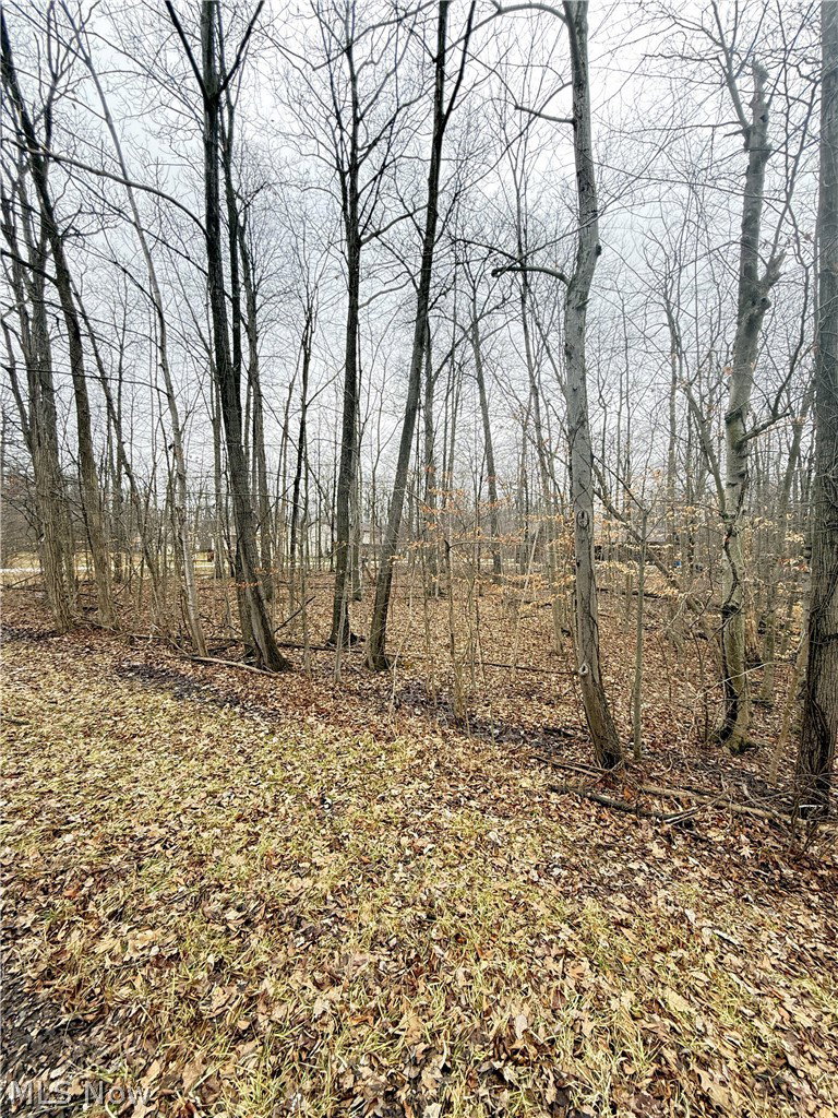 Image Unavailable