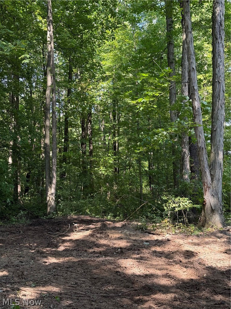 Image Unavailable