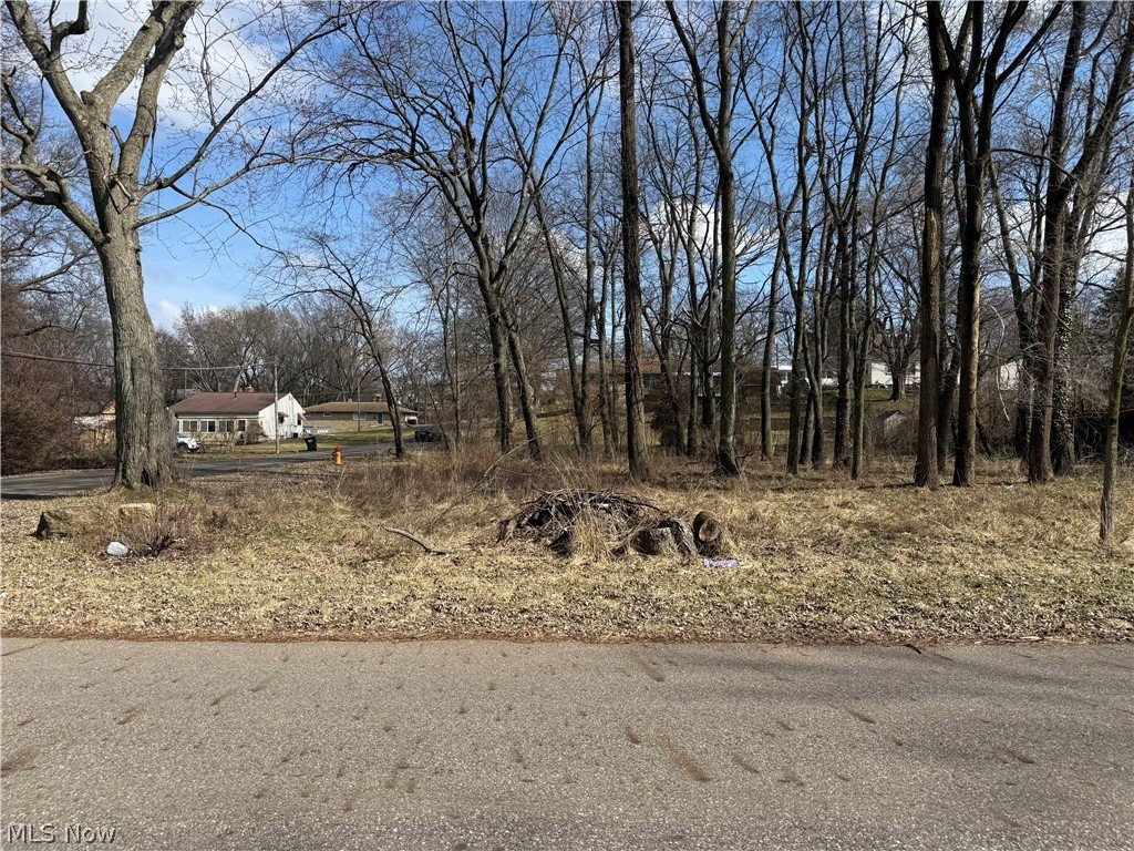Image Unavailable
